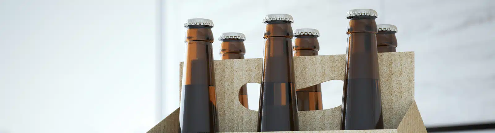 A six-pack of brown glass beer bottles with silver caps, held in a cardboard carrier